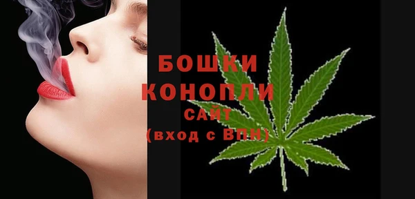 сатива Карталы