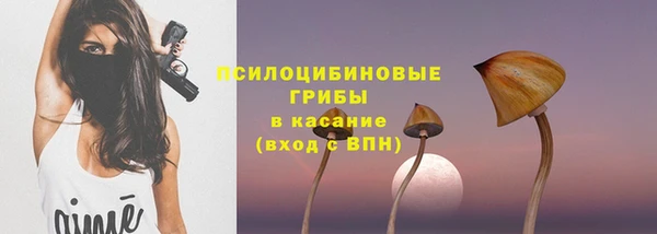 ГАЛЛЮЦИНОГЕННЫЕ ГРИБЫ Каменногорск