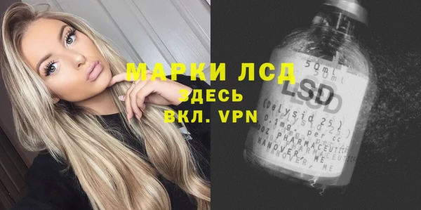 ГАЛЛЮЦИНОГЕННЫЕ ГРИБЫ Каменногорск