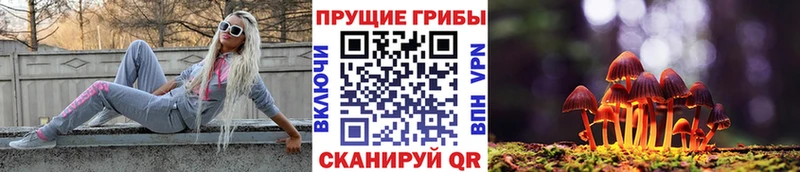 Галлюциногенные грибы Magic Shrooms  Купить где  Белорецк 